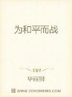为和平而战